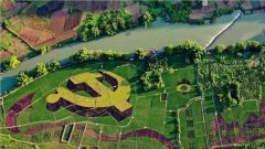 加速成立轨制健全、科学规范、运转无效的规划